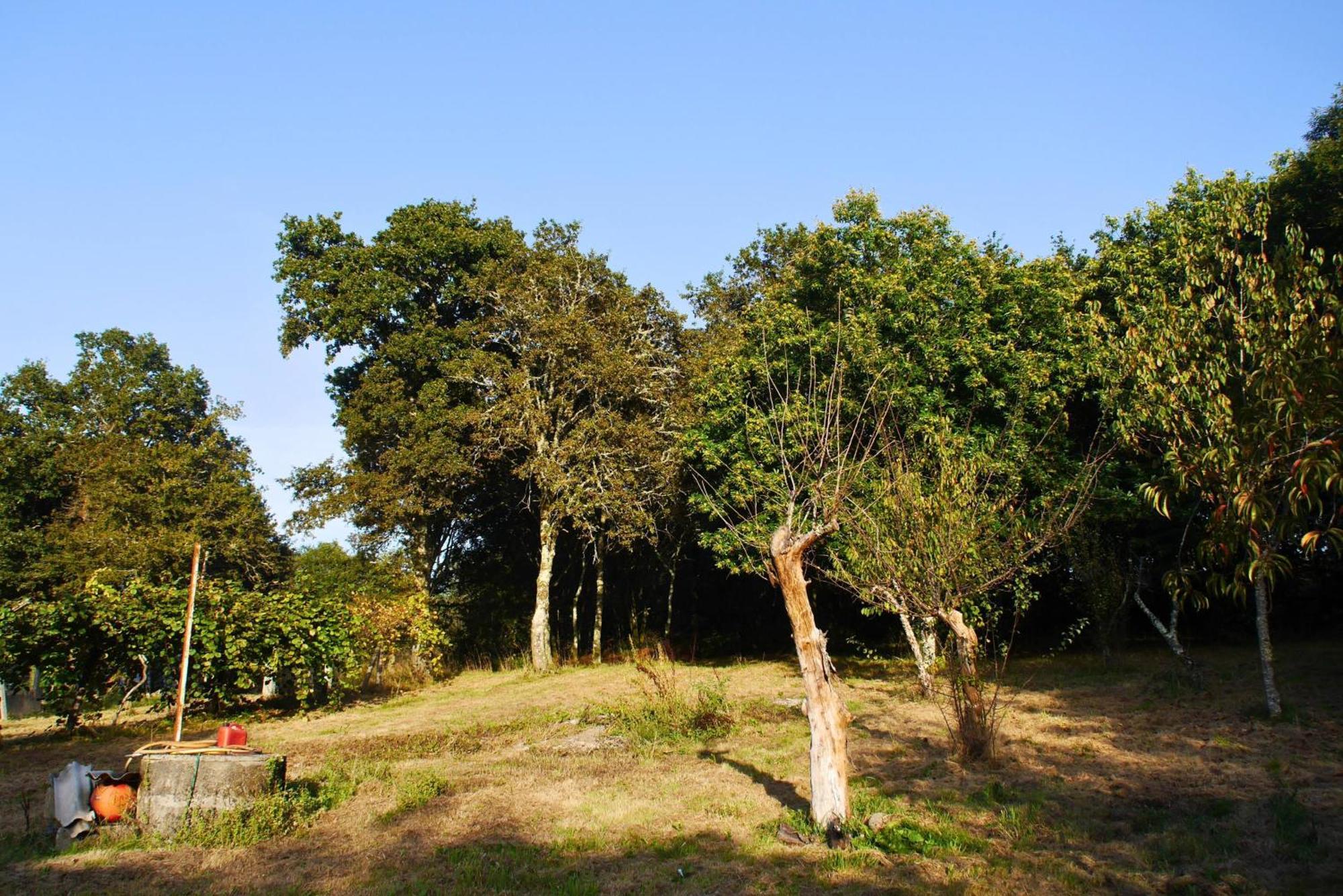 Casa Ermitas - Relajate En Plena Naturaleza A Estrada Extérieur photo